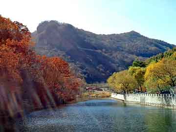 澳门天天彩期期精准平肖，盐城seo程序